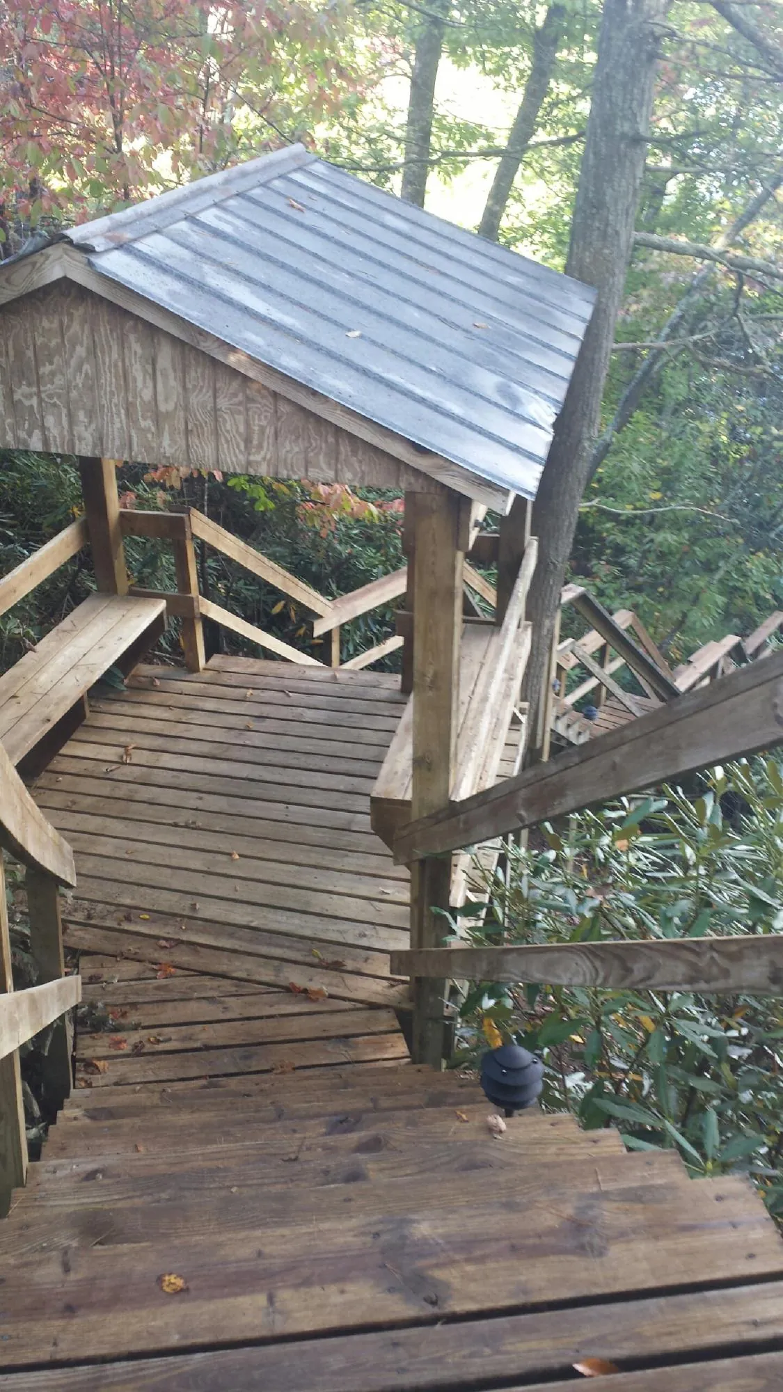 Metal roofed shelter over wooden steps on a wooded walkway — Skylight Repair & Installation work by our crew in Ravenna